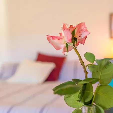 Son Sunyer Holiday home La Aranjasa